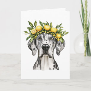 Happy Birthday Merle Great Dane Dog Lemon Crown Kaart