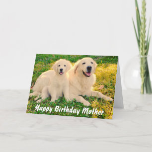 Happy Birthday Moeder Cute Golden Retriever Hogs Kaart
