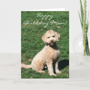 Happy Birthday Mom Mini Goldendoodle wenskaart Kaart