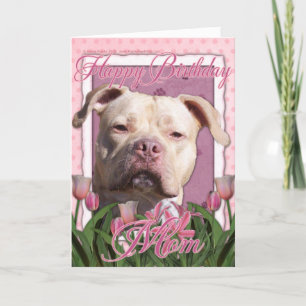 Happy Birthday Mom - Pitbull - Jersey Girl Kaart