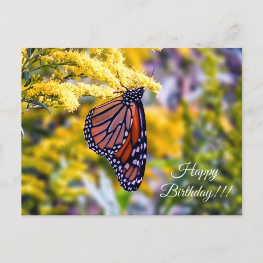 Happy Birthday Monarch Butterfly Briefkaart (Voorkant)