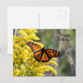 Happy Birthday Monarch Butterfly Briefkaart (Voorkant / Achterkant)