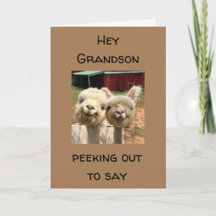 HAPPY *BIRTHDAY* NAAR MY *GRANDSON* KAART