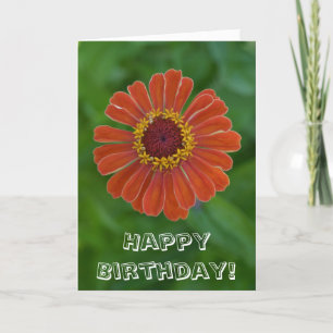Happy Birthday Oranje Zinnia flower bloesem Kaart