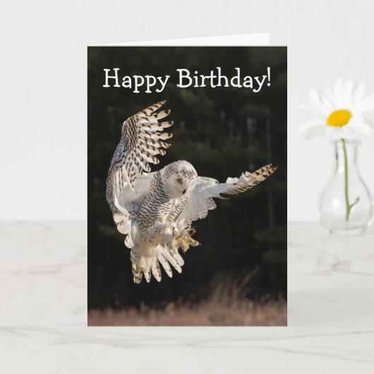 Happy Birthday Owl Kaart (Kleine Plant)