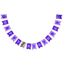 Happy Birthday Paarse Ballonnen Party Foto