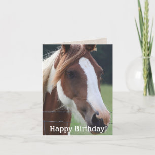 Happy Birthday Paint Horse Equestrian Riding Kaart