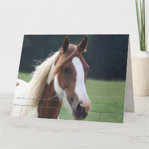 Happy Birthday Paint Horse Equestrian Riding Kaart