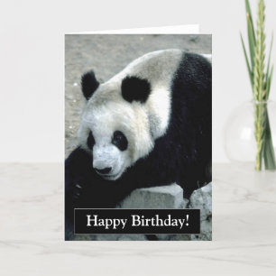 Happy Birthday Panda Beer Kaart