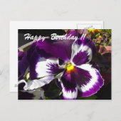 Happy Birthday Pansy Briefkaart (Voorkant / Achterkant)