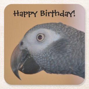 Happy Birthday Parrot Party Onderzetters