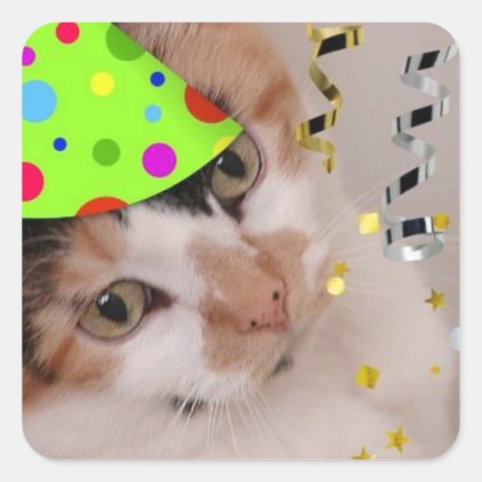 Happy Birthday Party Calico Cat Vierkante Sticker (Voorkant)