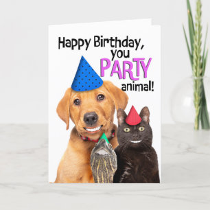 Happy Birthday Party Dier Grappige Huisdieren Glim Feestdagen Kaart
