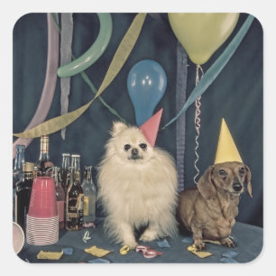 Happy Birthday Party met honden en Drinken Vierkante Sticker