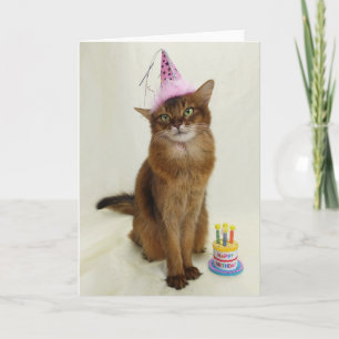 Happy Birthday Party Somali Cat Kaart