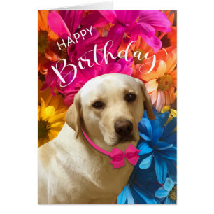 Happy Birthday, Pet, Dog, Cute Labrador Flowers