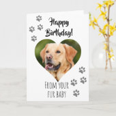 Happy Birthday Photo Dog Cat Pet Fur Baby Kaart (Gele Bloem)