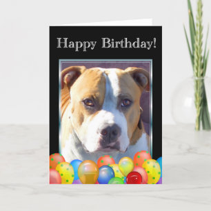 Happy Birthday pitbull dog wenskaart Kaart