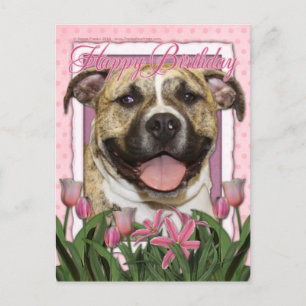 Happy Birthday - Pitbull - Groter Briefkaart