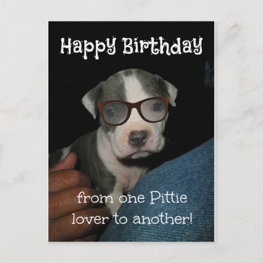 Happy Birthday Pittie Briefkaart (Voorkant)