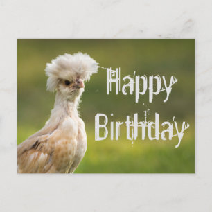 Happy BIrthday Poland Chicken Briefkaart