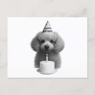 Happy Birthday Poodle Feestdagenkaart