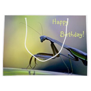 Happy Birthday Praying Mantis Groot Cadeauzakje