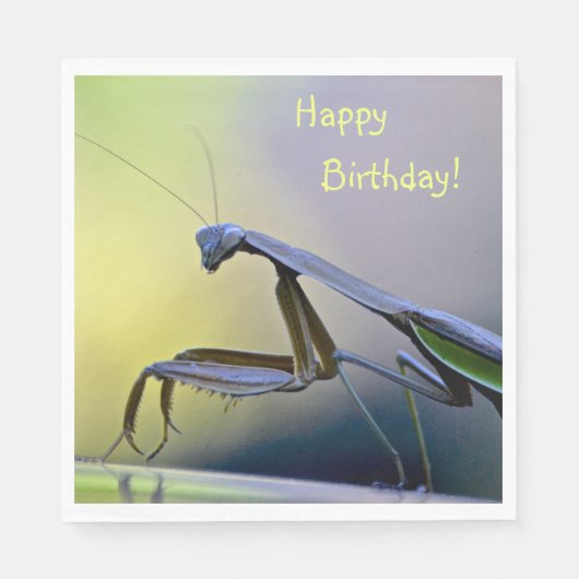 Happy Birthday Praying Mantis Servet (Voorkant)