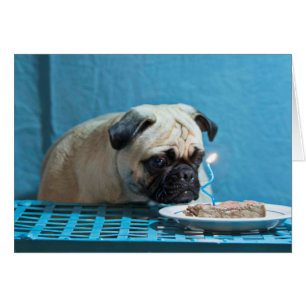 Happy Birthday Pug met Steak-kaartje - Kaart