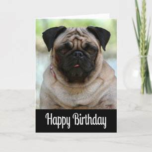 Happy Birthday Pug Puppy Dog Black Wenskaart Kaart