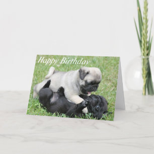 Happy Birthday Pug Puppy Dog Wenskaart Kaart