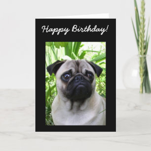 Happy Birthday Pug wenskaart Kaart