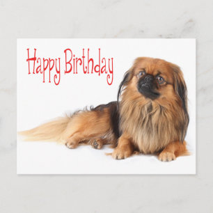 Happy Birthday Puppy Dog Red Briefkaart