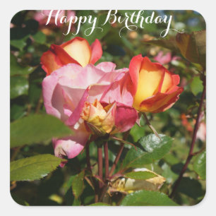 Happy Birthday Rainbow Sorbet Roos #2 Stickers