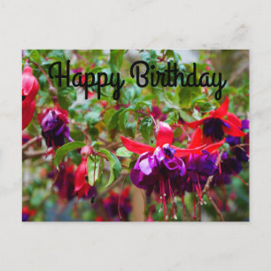 Happy Birthday Red en Paarse Fuchsia #2 Briefkaart