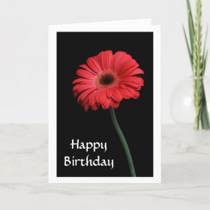 Happy Birthday Red Gerbera Daisy Wenskaart Kaart