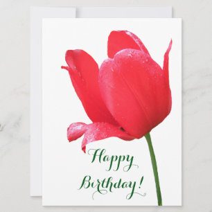 Happy Birthday rode tulp bloemenelegantie plezier Feestdagenkaart