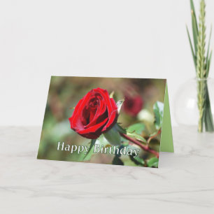 Happy Birthday Romantic Red Rose Card Kaart