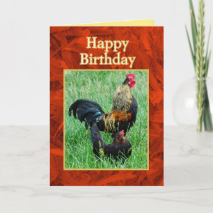 Happy Birthday Rooster en Hen Red Feathers Kaart