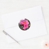 Happy Birthday roze Camellia #2-2 Stickers (Envelop)