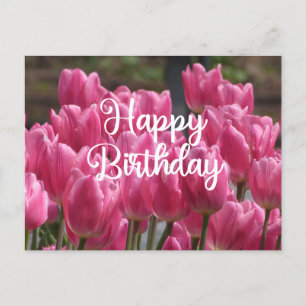 Happy Birthday roze Tulip Flowers Briefkaart