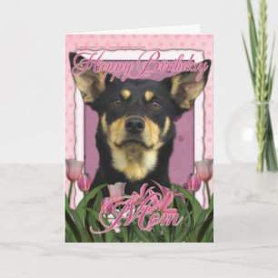 Happy Birthday - roze Tulips - Australische Kelpie Kaart