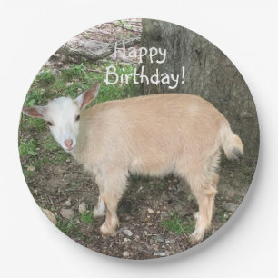 Happy Birthday Schattig Baby Goat Papieren Bordje