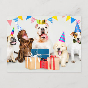 Happy Birthday Schattige feestdieren Briefkaart