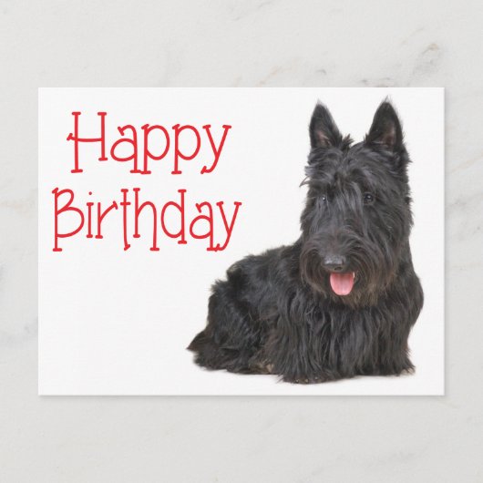 Happy Birthday Schotse Terriër Puppy Briefkaart (Voorkant)