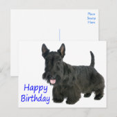 Happy Birthday Schotse Terriër Puppy Briefkaart (Voorkant / Achterkant)