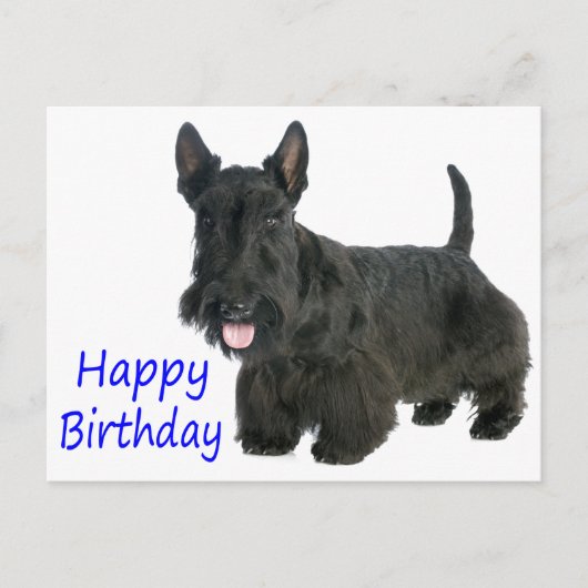 Happy Birthday Schotse Terriër Puppy Briefkaart (Voorkant)