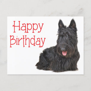 Happy Birthday Scottish Terrier Puppy Briefkaart