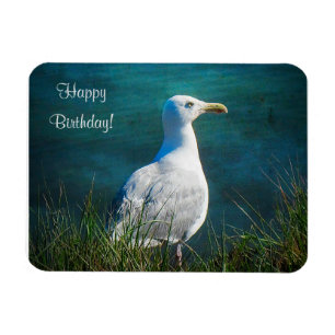 Happy Birthday Seagull Magnet Magneet