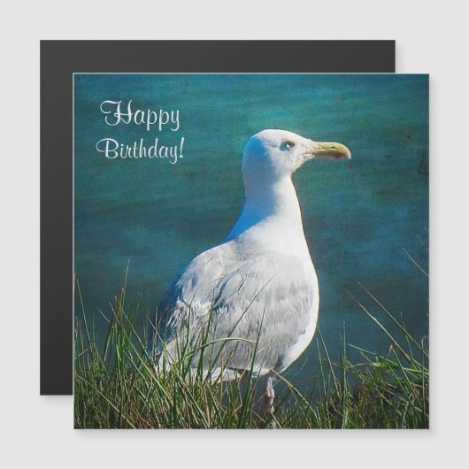 Happy Birthday Seagull Magnetic Kaart (Voorkant / Achterkant)